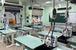 ĿɹŇGurvan TamirWУĿ